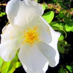 Biến điểm yếu thành sức mạnh