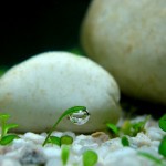 Kỹ Năng Giao Tiếp Trong Những Tình Huống Nhạy Cảm