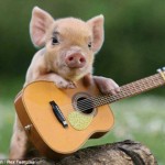 Điều gì khiến bạn độc đáo?