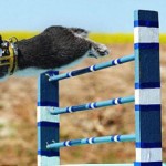 Rào cản phát triển bản thân