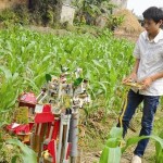 Robot trên ruộng ngô