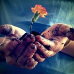 Lạc quan thực tế