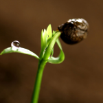 Đừng bé nhỏ mãi nhé, ta ơi!