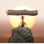 Những câu nói hay của những người thành công