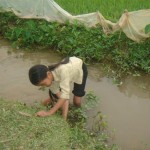 Nước mắt lăn cùng ước mơ