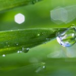 Tiến về phía trước