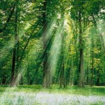 Góc khuất cuộc đời