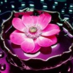 Khoảnh khắc ta nhận ra