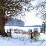 Tuyết- huyền diệu và tầm thường