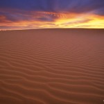 Những hạt cát …