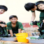 Bài học tự lập