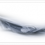 Sự hối hận muộn màng