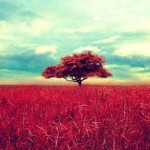 Hành trình gian nan