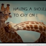 Quà tặng cuộc sống: Một bờ vai