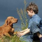 Một người bạn