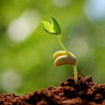 Quà tặng cuộc sống: thần chú cho hạnh phúc