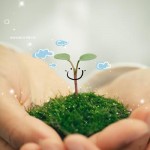 Quà tặng cuộc sống: Hy vọng