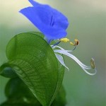 Quà tặng cuộc sống: Cách sống