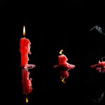 Quà tặng cuộc sống: Đời người trong một câu chữ