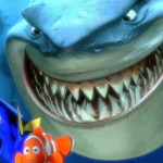 Quà tặng cuộc sống: Cá mập
