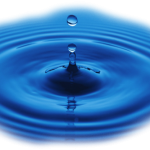 Những vòng tròn cuộc sống