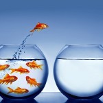 Đừng đặt cuộc sống trong giới hạn của những người trung bình