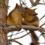 Những Câu Nói Hay Bất Hủ Về Tình Yêu