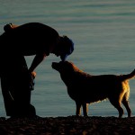 Yêu Thương Bạn Bè Hay Là Đến Địa Ngục?