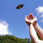 40 Thứ Bạn Cần “Vứt Đi” Trong Năm Nay