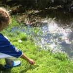 Lắng Nghe Lời Thì Thầm Của Cuộc Sống