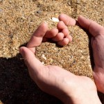 Cát Mang Niềm Vui Đến