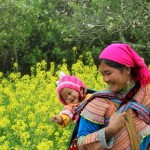 Những Điều Mẹ Ước Cho Con