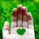 10 Điều Bạn Cần Biết Trước Khi Quá Muộn