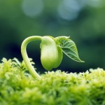 Chỉ Cần Có Quyết Tâm