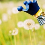 Cổ Tích Cho Những Hy Vọng Không Thành (Phần 2)