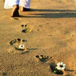 Dạo Bước Qua Cuộc Đời