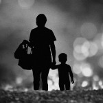 Hãy Để Con Dắt Mẹ Đi 700 Cây Số Cuộc Đời