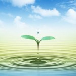 Khoảnh Khắc Và Cuộc Sống