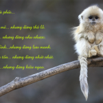 Những Câu Triết Lý Hay Ý Nghĩa Trong Cuộc Sống