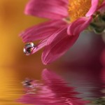 Hãy Đọc Khi Bạn Muốn Buông Xuôi