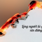 Đừng Thử, Vì Lòng Người Là Giấy