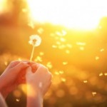 14 Cách Để Thấy Cuộc Sống Ý Nghĩa Hơn