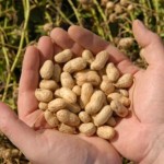 Giá Trị Của Nghịch Cảnh