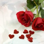 Chuyện Hoa Hồng Và Cái Gai