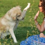 Ngày Hôm Nay Bạn Đã Học Được Gì?