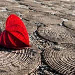 Thì Ra Tình Yêu Là Định Mệnh