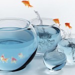 7 Bí Quyết Để Trở Thành Một Nhà Lãnh Đạo Giỏi