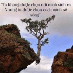 Đừng Đổ Lỗi Cho Hoàn Cảnh