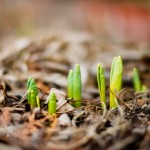 Phép Màu Của Sự Thay Đổi