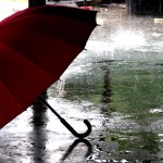 Chiếc Ô Và Chuyện Tình Buồn